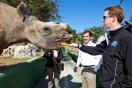 NASCAR Driver Brad Keselowski Visits Busch Gardens Tampa Bay